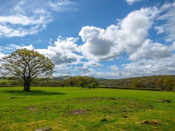 Villa Brynhir Farm Llandrindod Wells Esterno foto